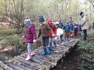 “Cvjetići“ i “Štrumpfovi“ u jesenskoj šetnji šumom