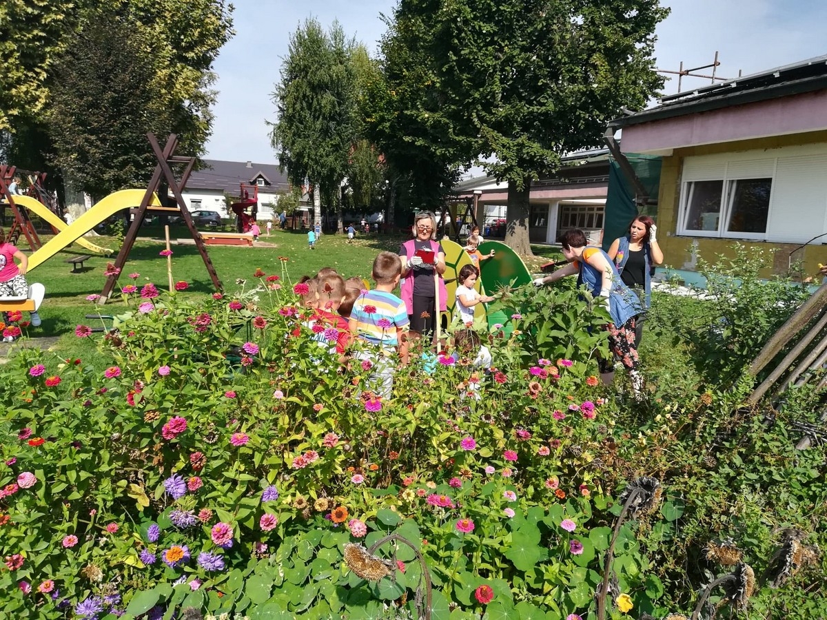VRTIĆANCI I ZELENA ČISTKA