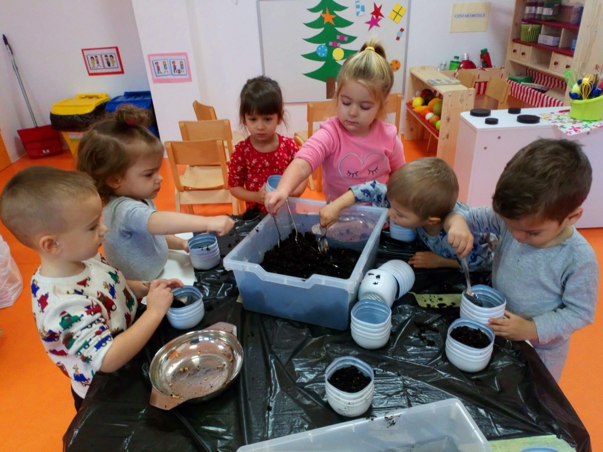 SIJANJE BOŽIĆNE PŠENICE U “KOCKICAMA“