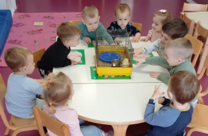 Domaće životinje u “Pčelicama“